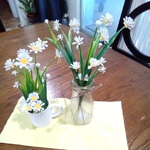 Daisy vases